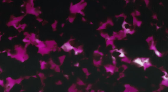 TQX1-0008