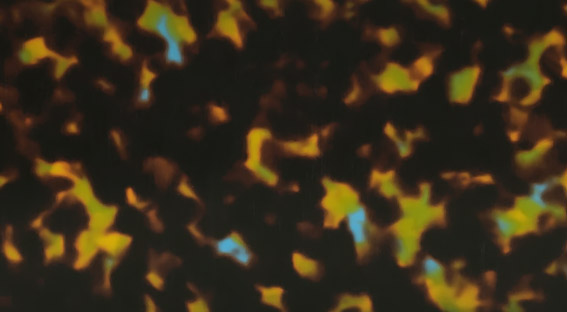 TQX1-0011