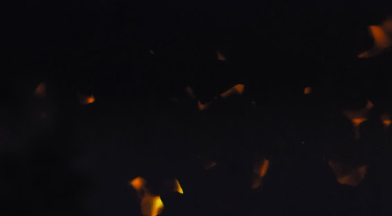 TQX1-0045
