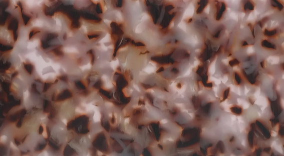 TQX1-0087P