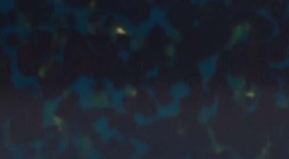 TQX1-0134