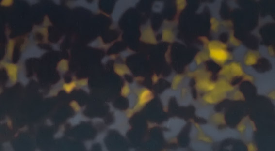 TQX1-0135