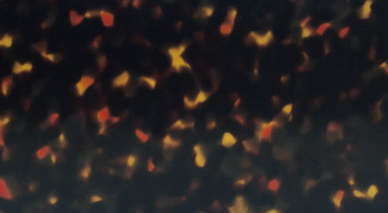 TQX1-0165