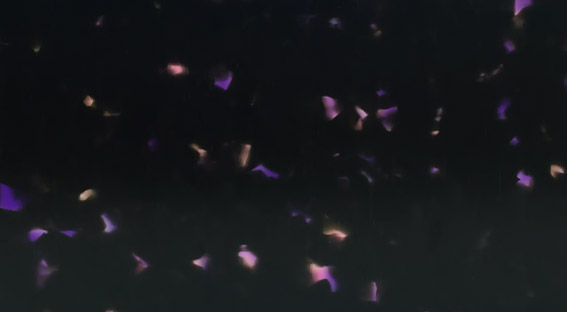 TQX1-0181