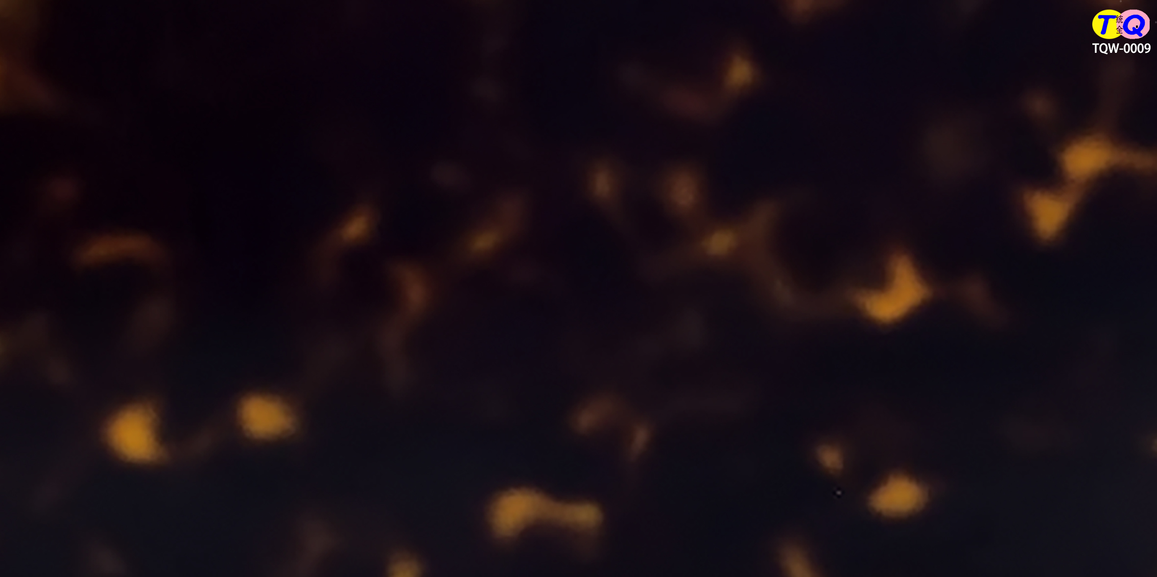 TQW-0009