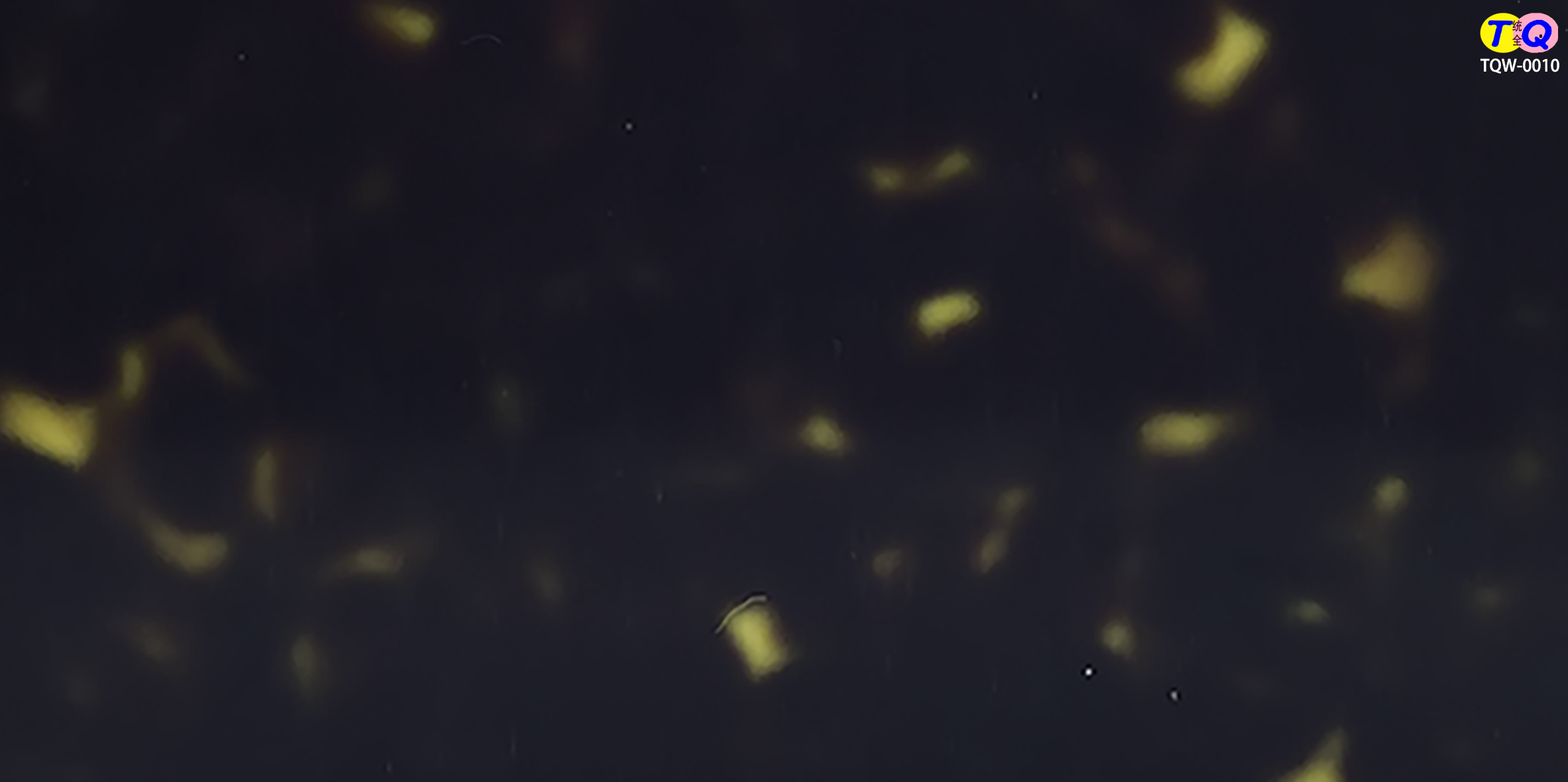 TQW-0010