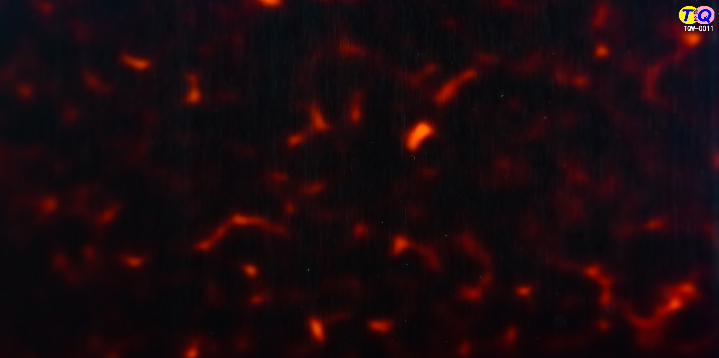 TQW-0011