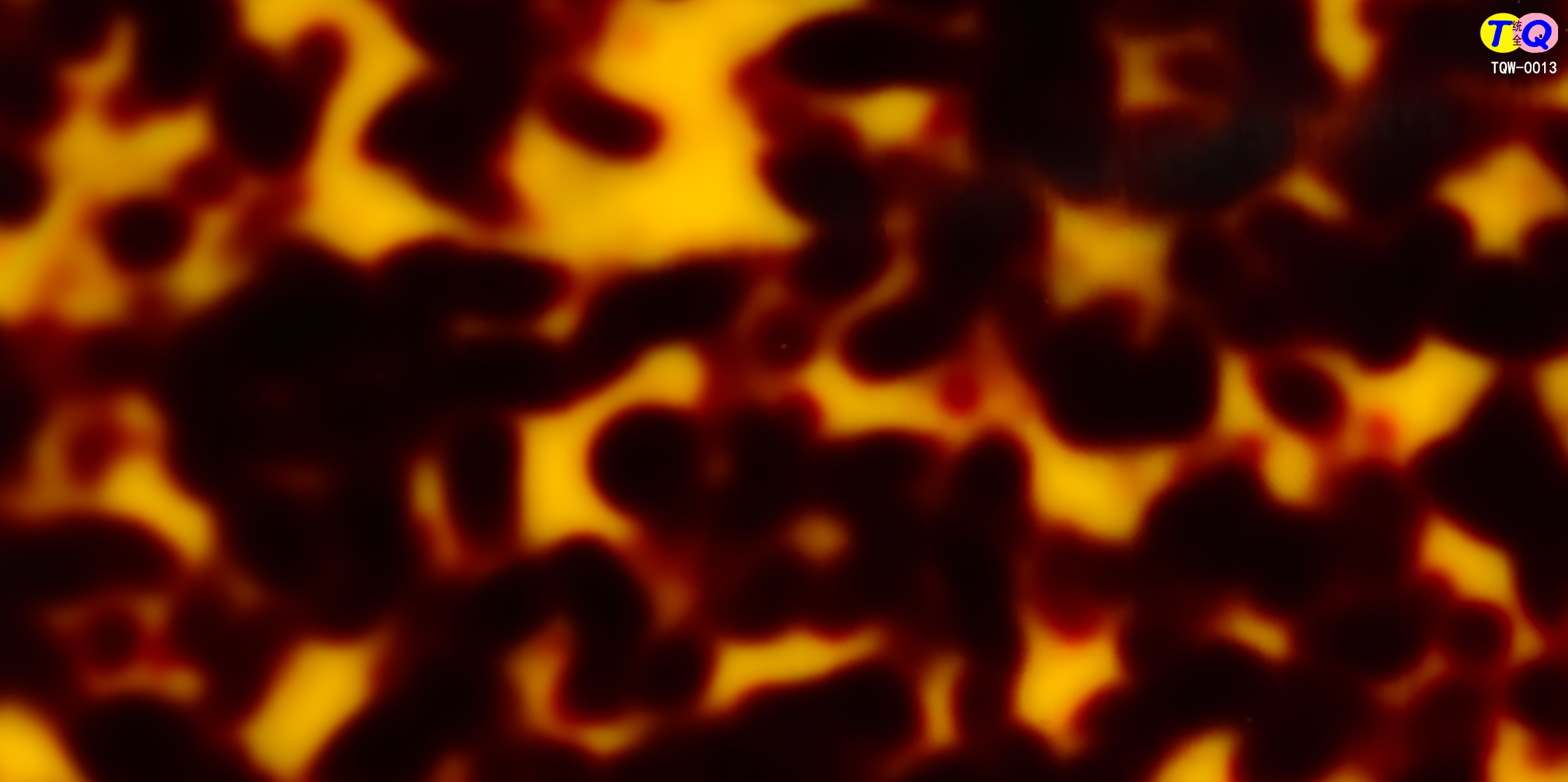 TQW-0013