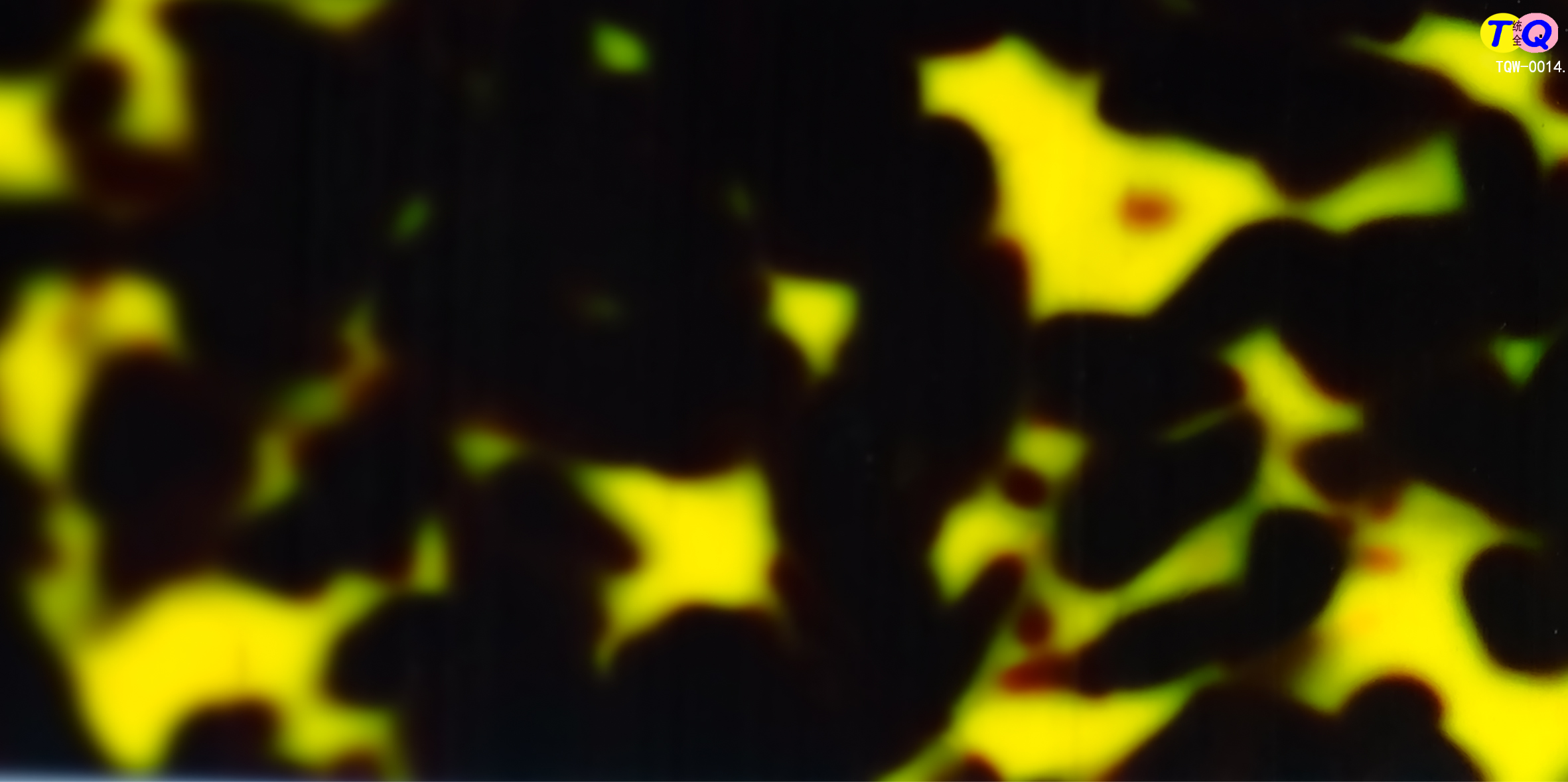 TQW-0014