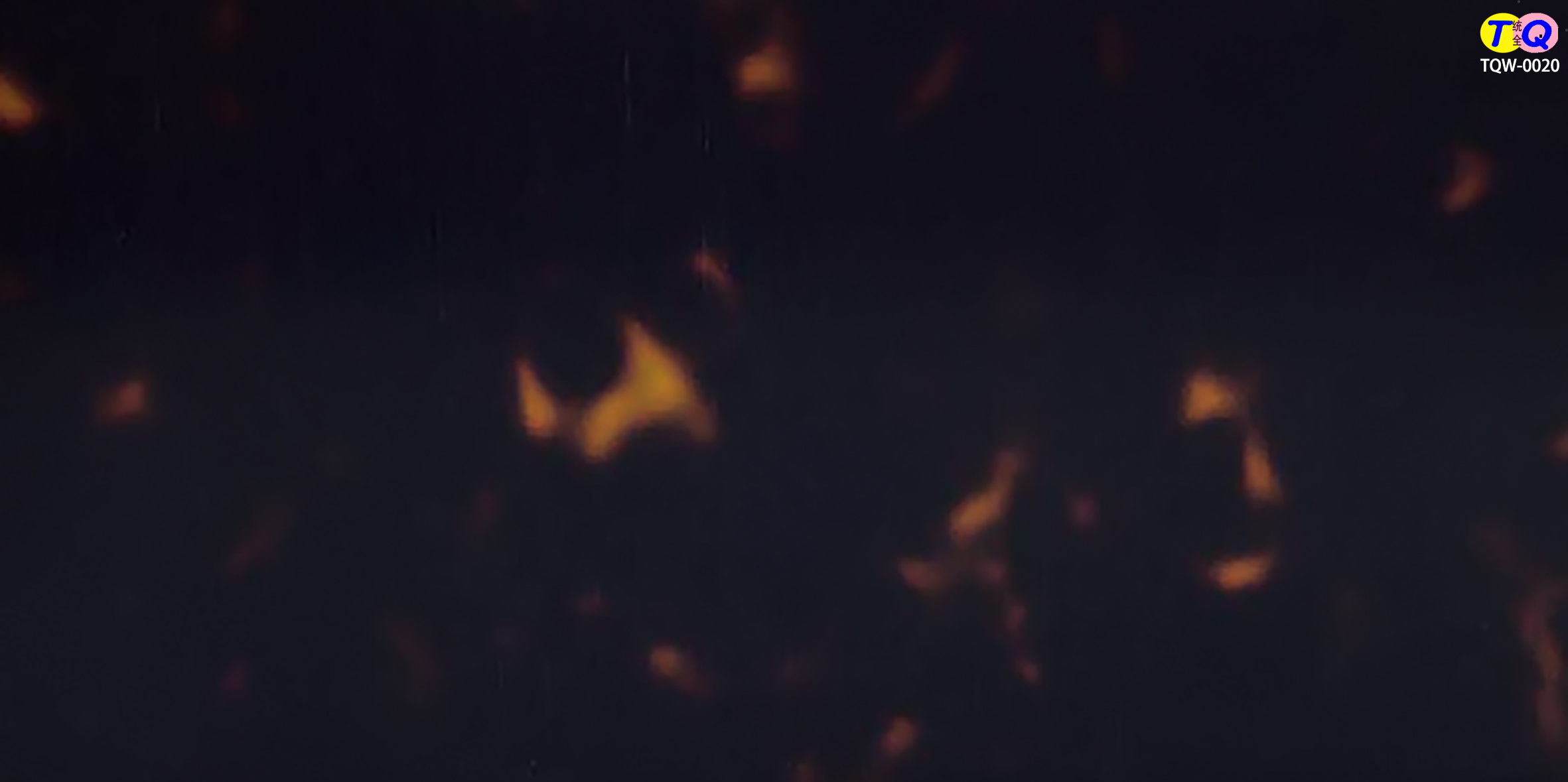 TQW-0020