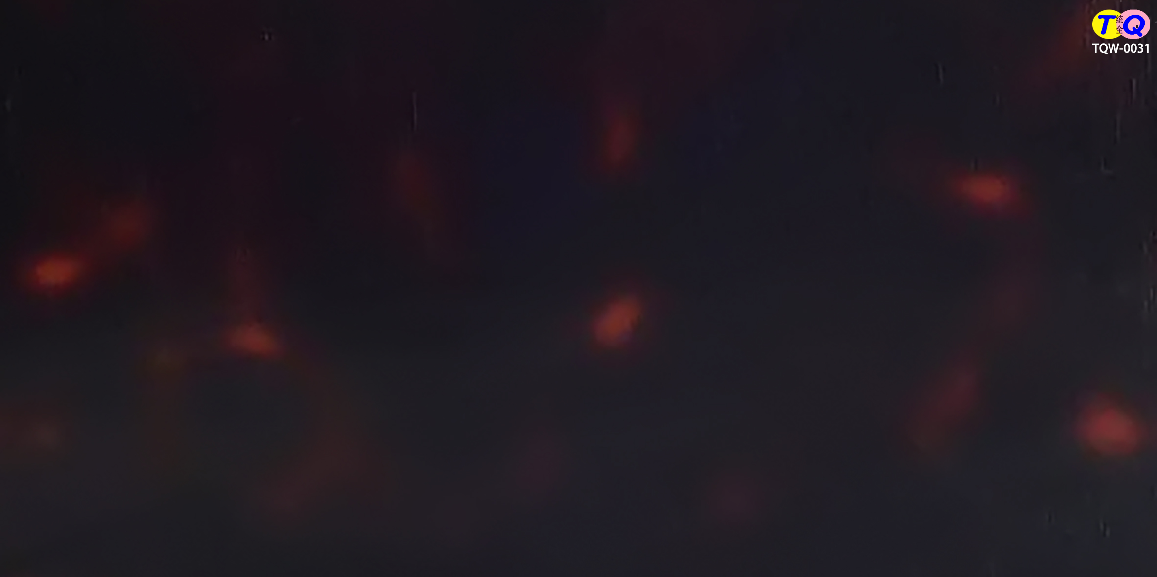 TQW-0031