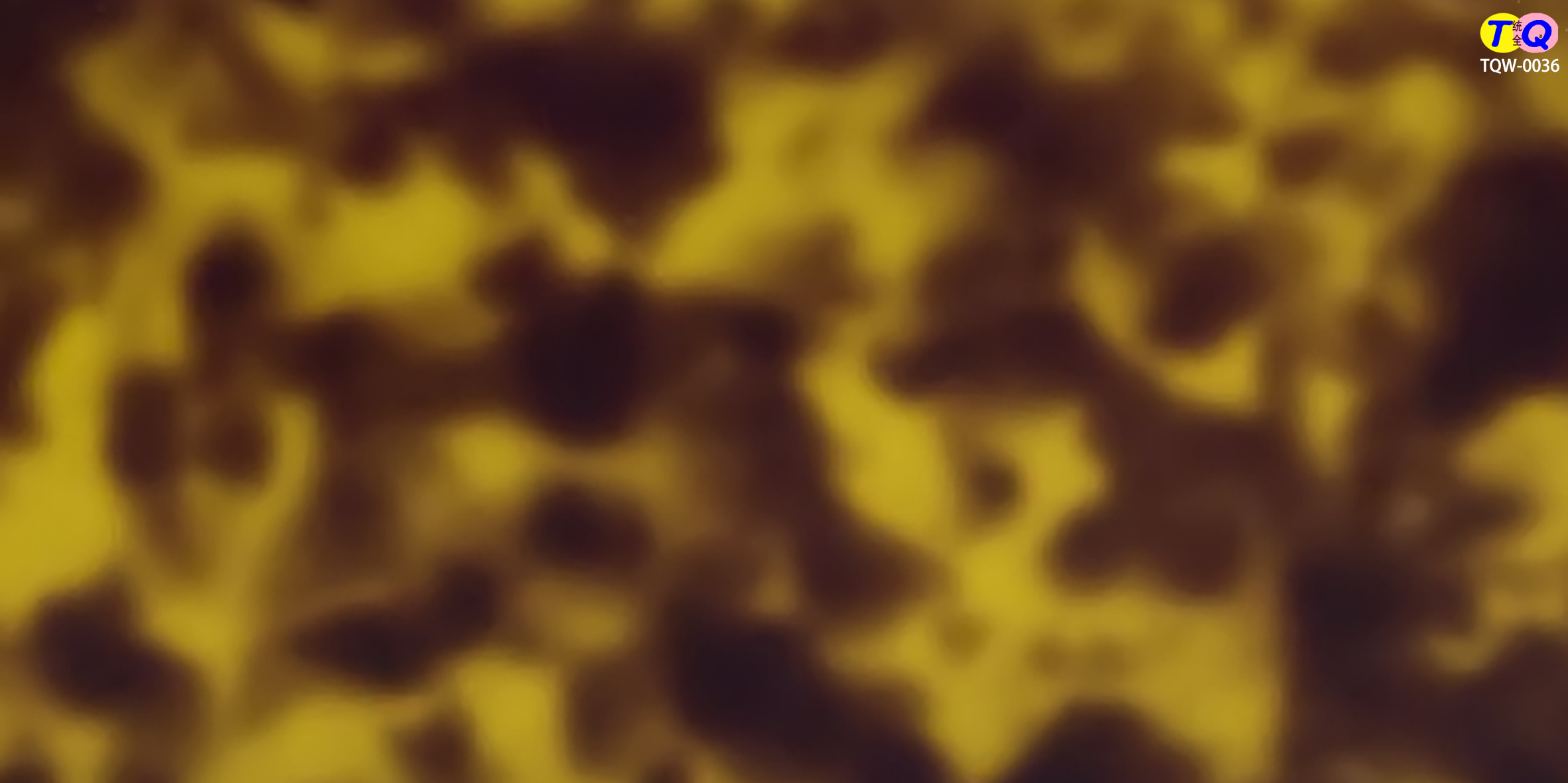 TQW-0036