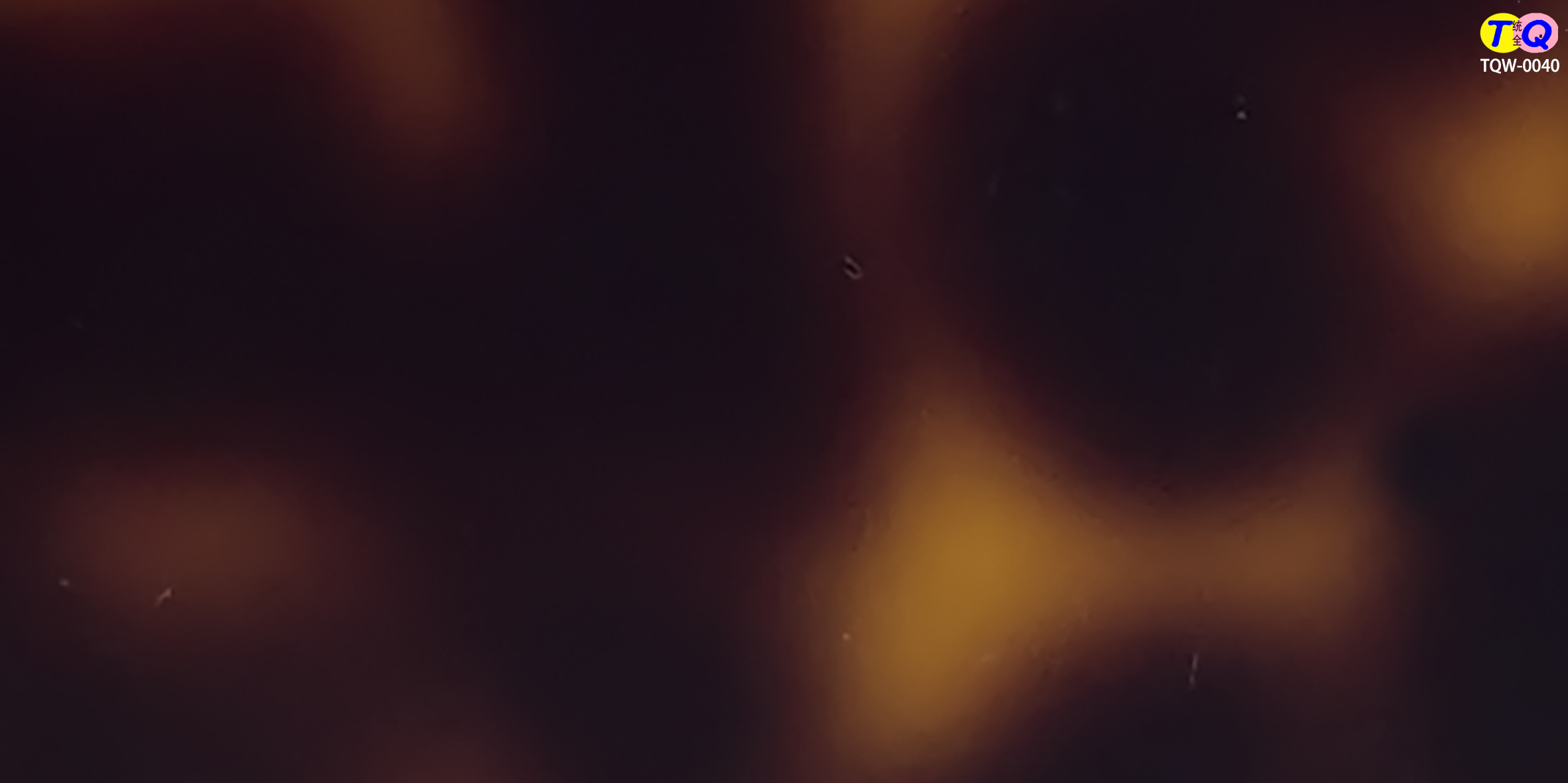 TQW-0040