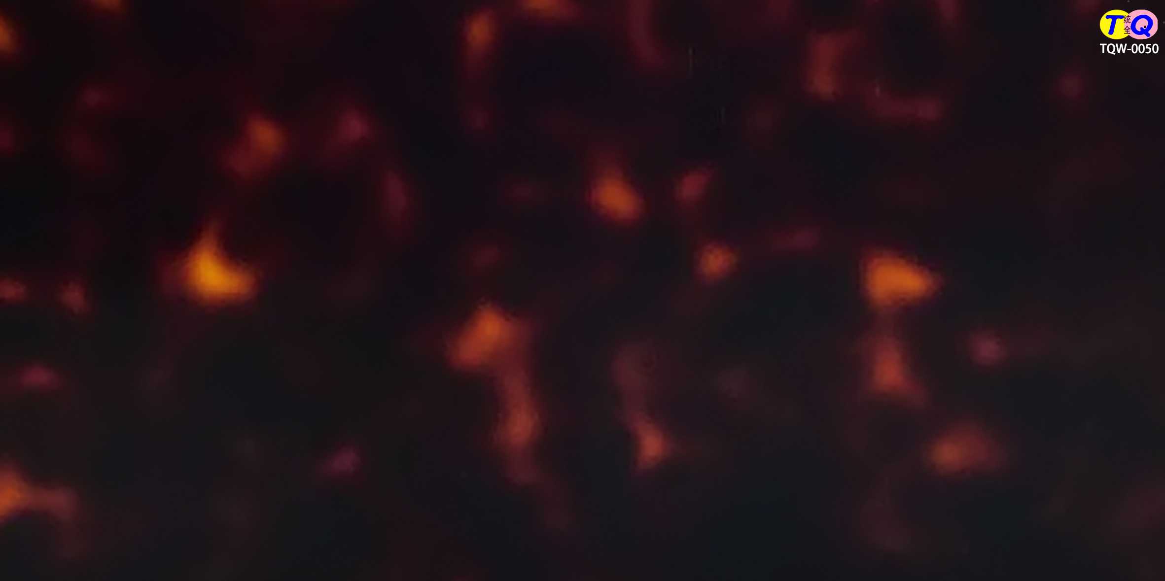 TQW-0050