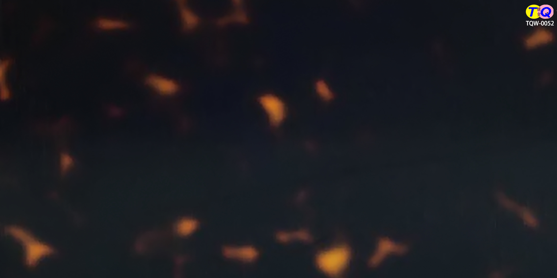 TQW-0052