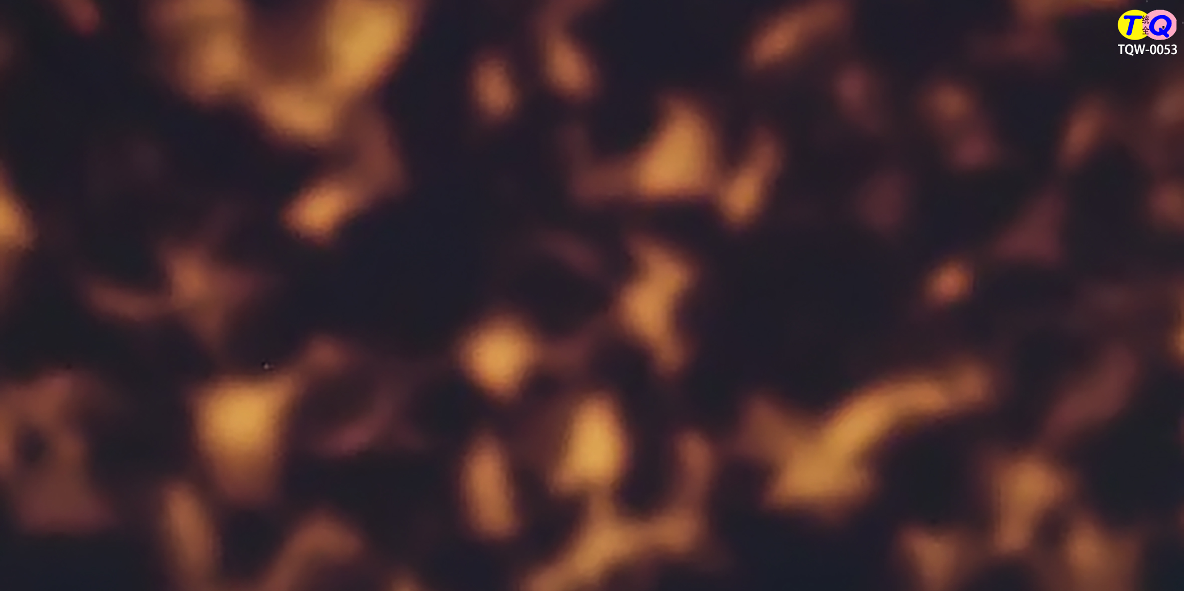 TQW-0053