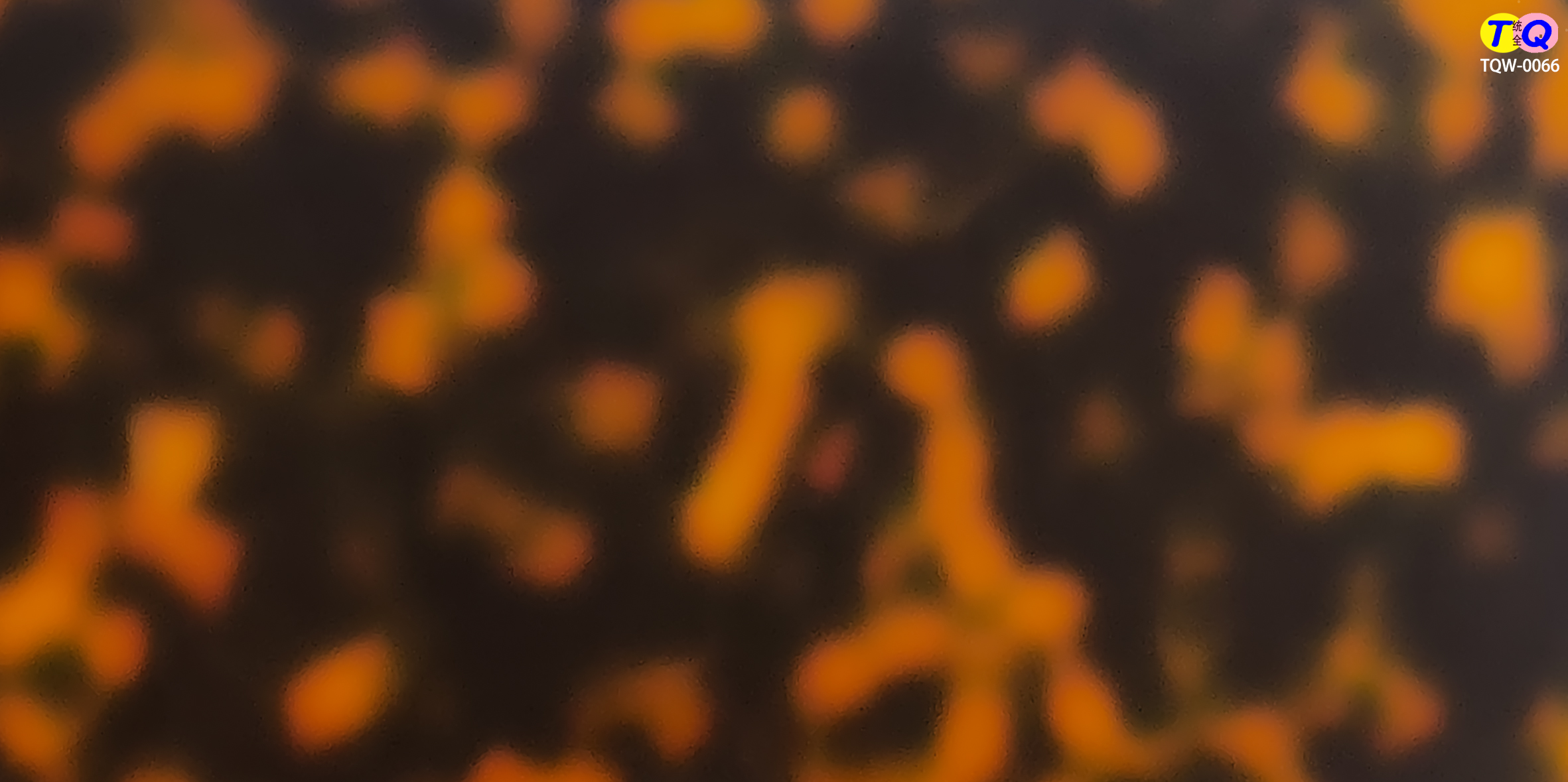 TQW-0066