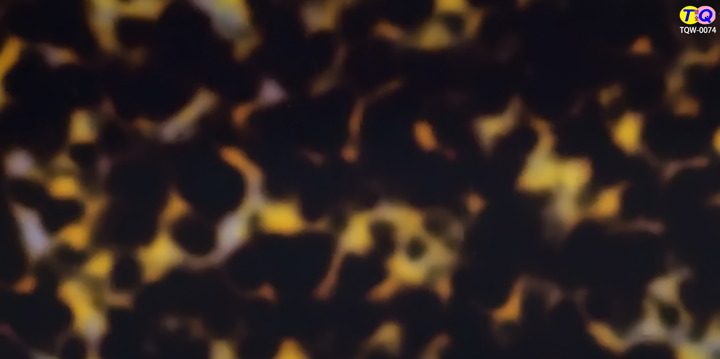 TQW-0074