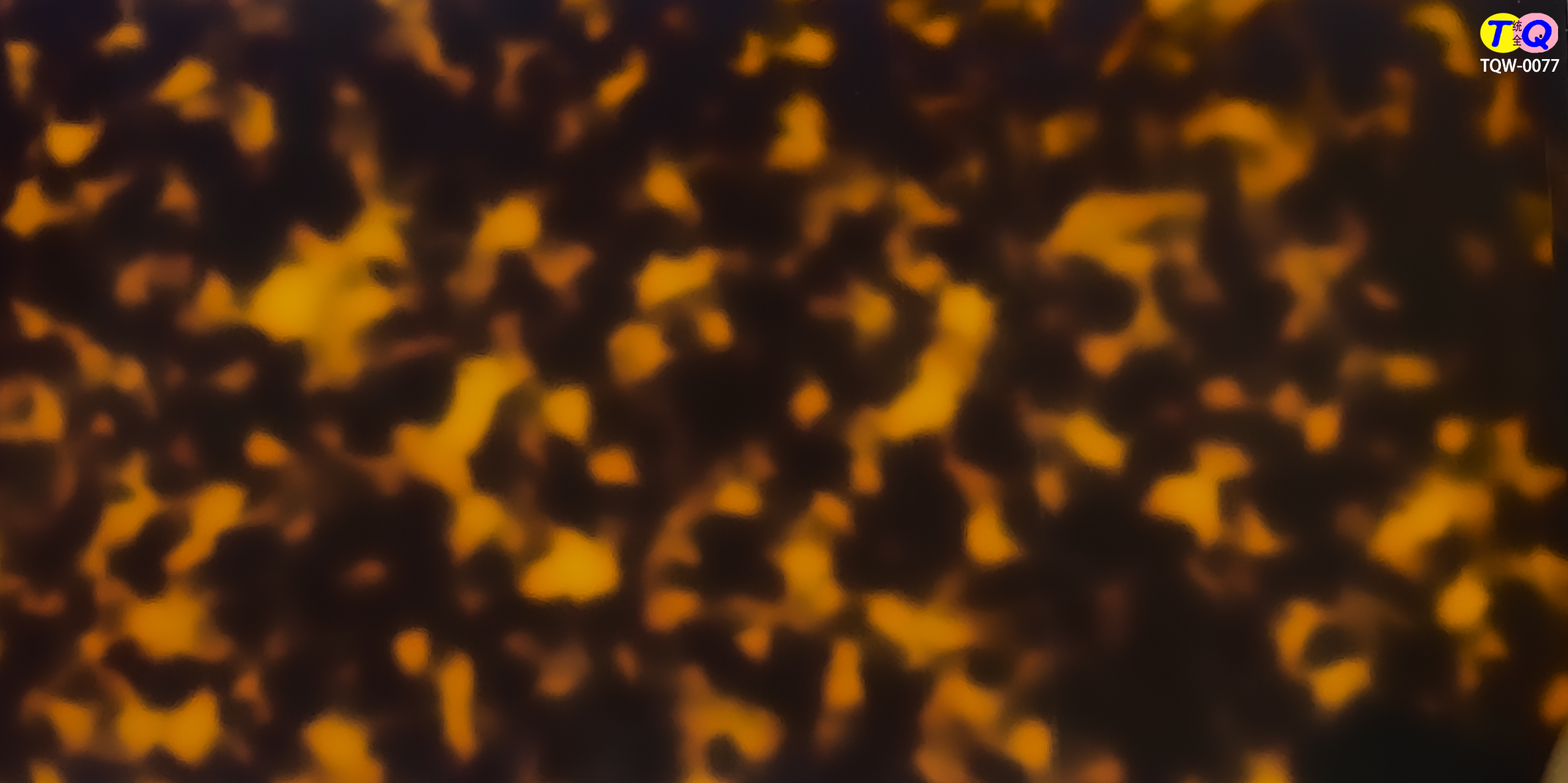 TQW-0077