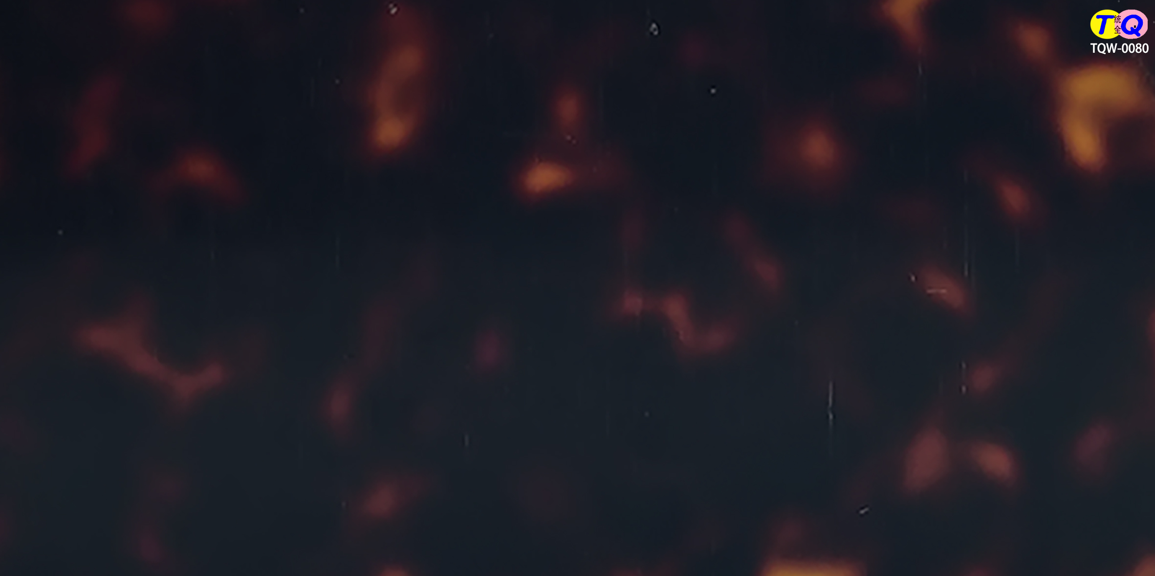 TQW-0080