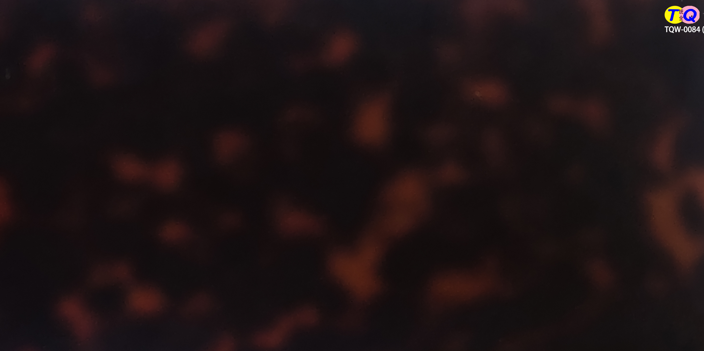 TQW-0084