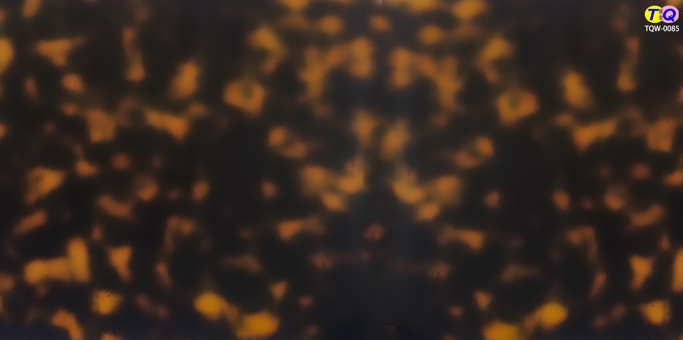 TQW-0085
