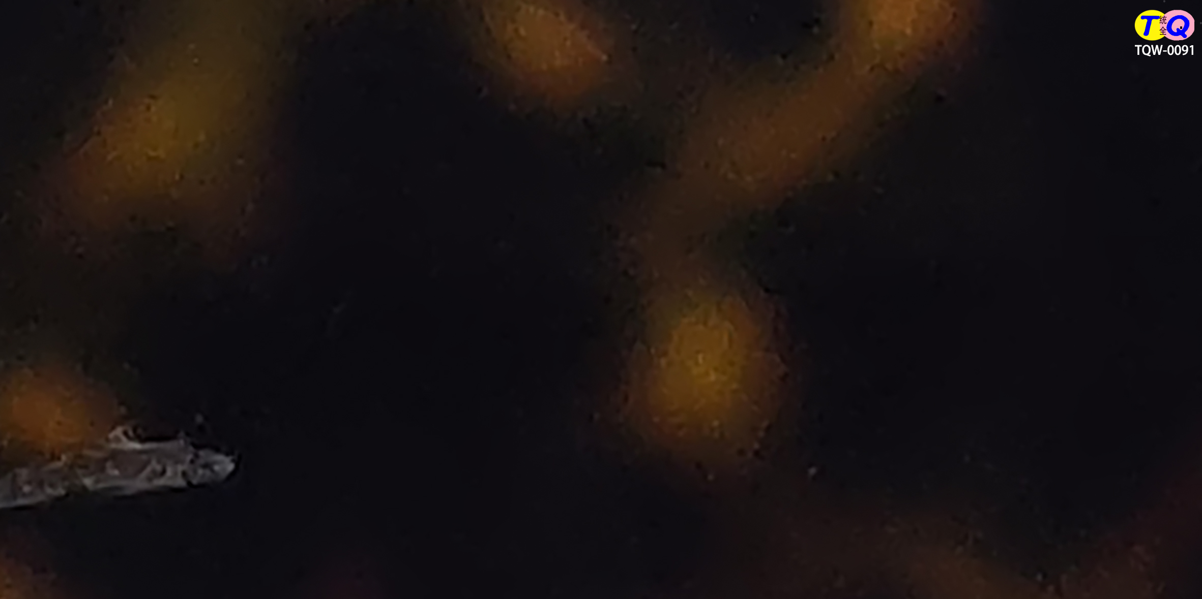 TQW-0091