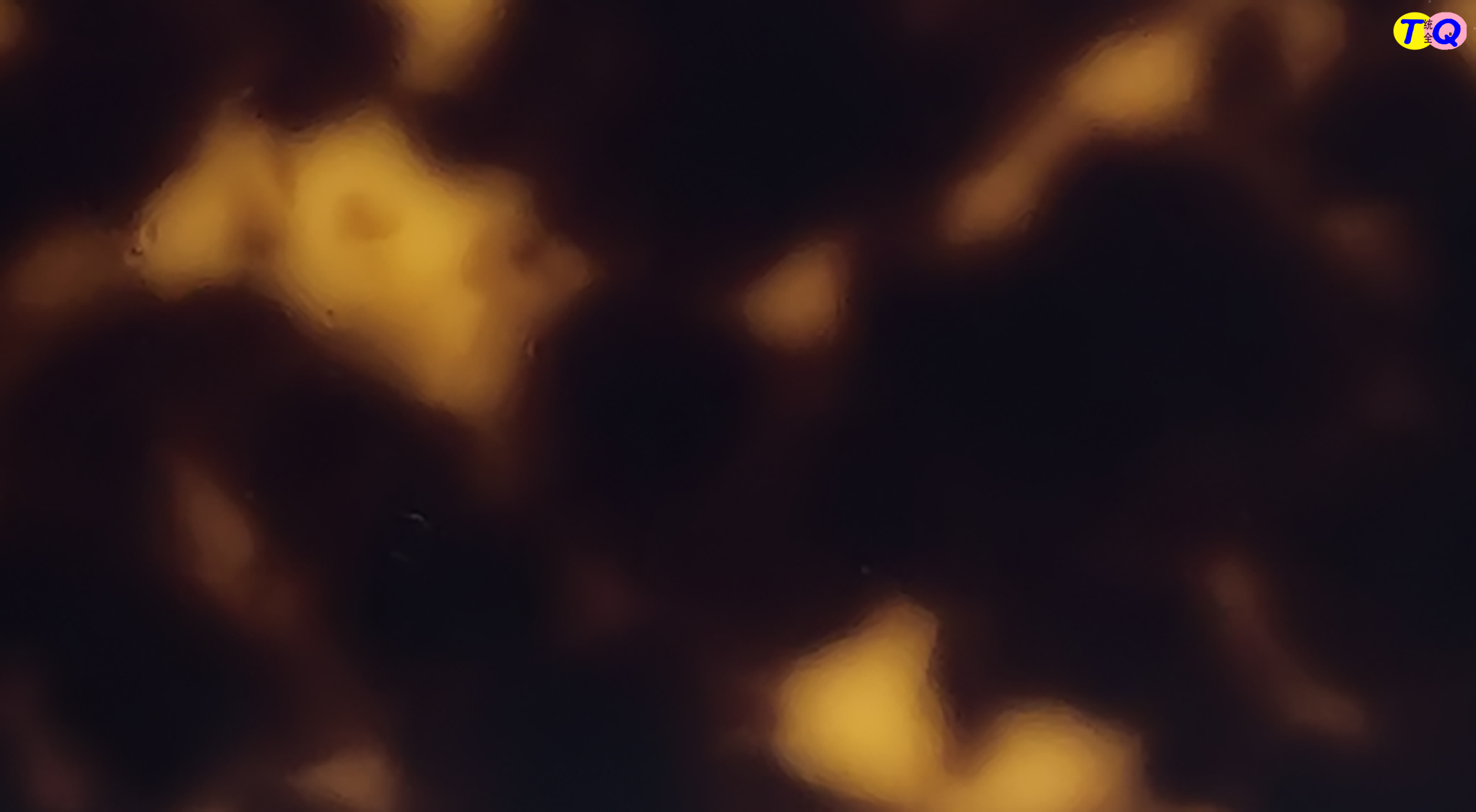 TQW-0105