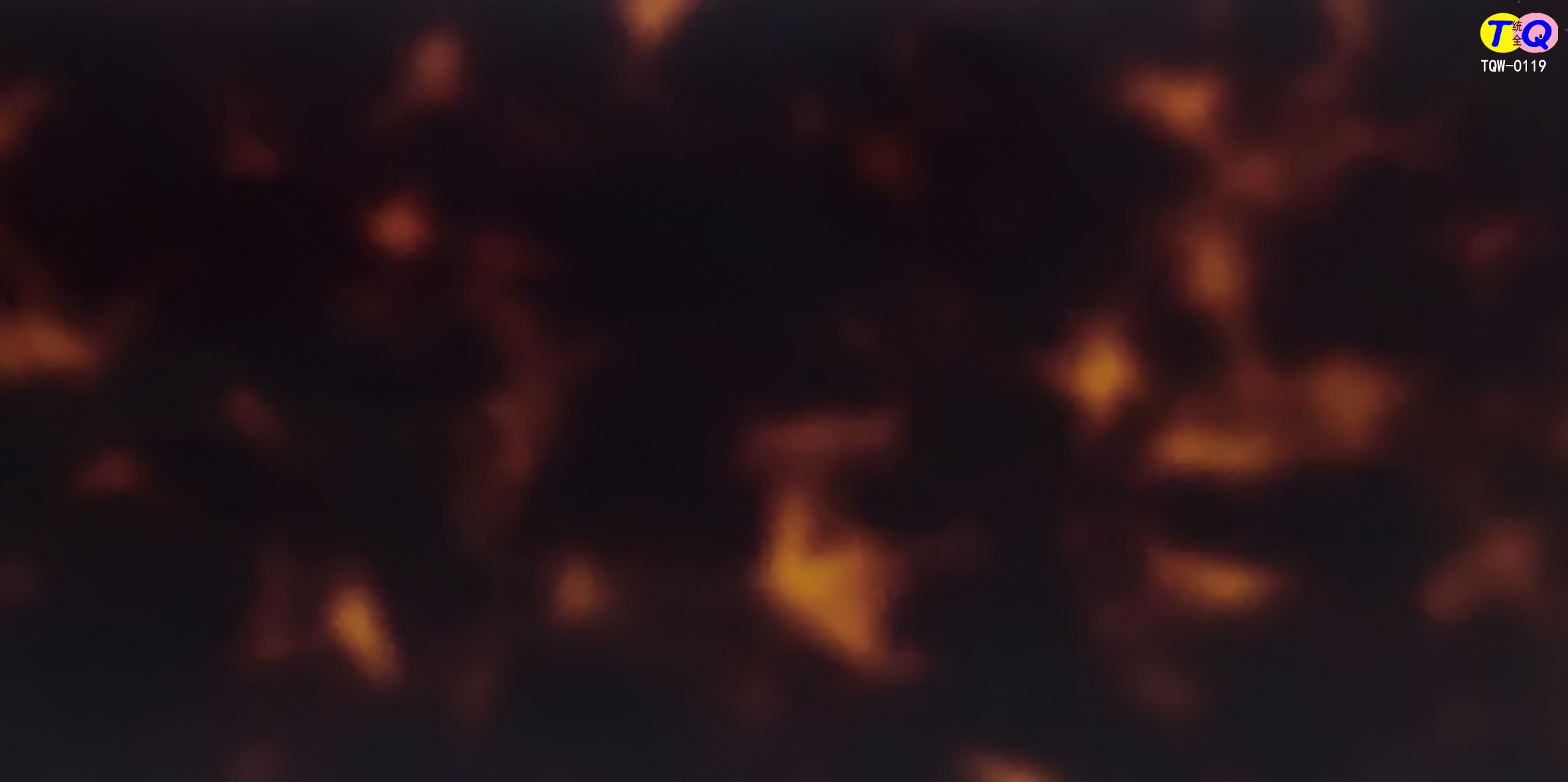 TQW-0119