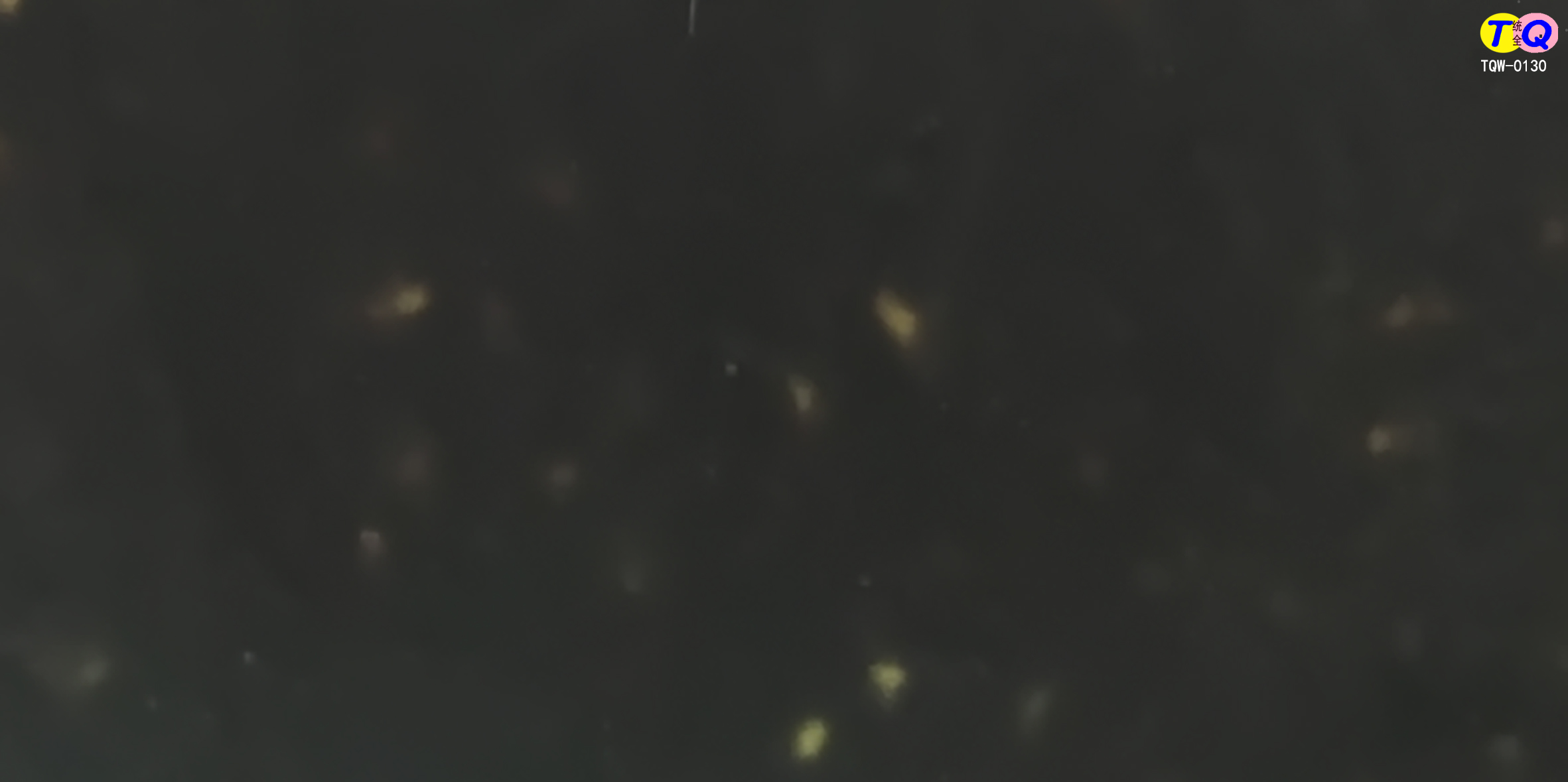 TQW-0130