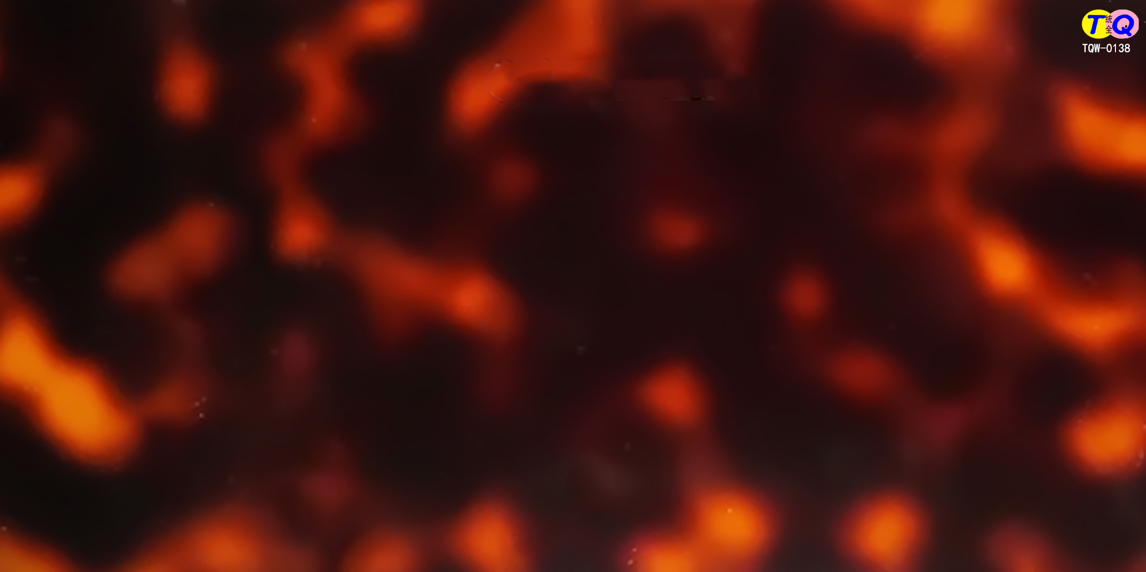 TQW-0138