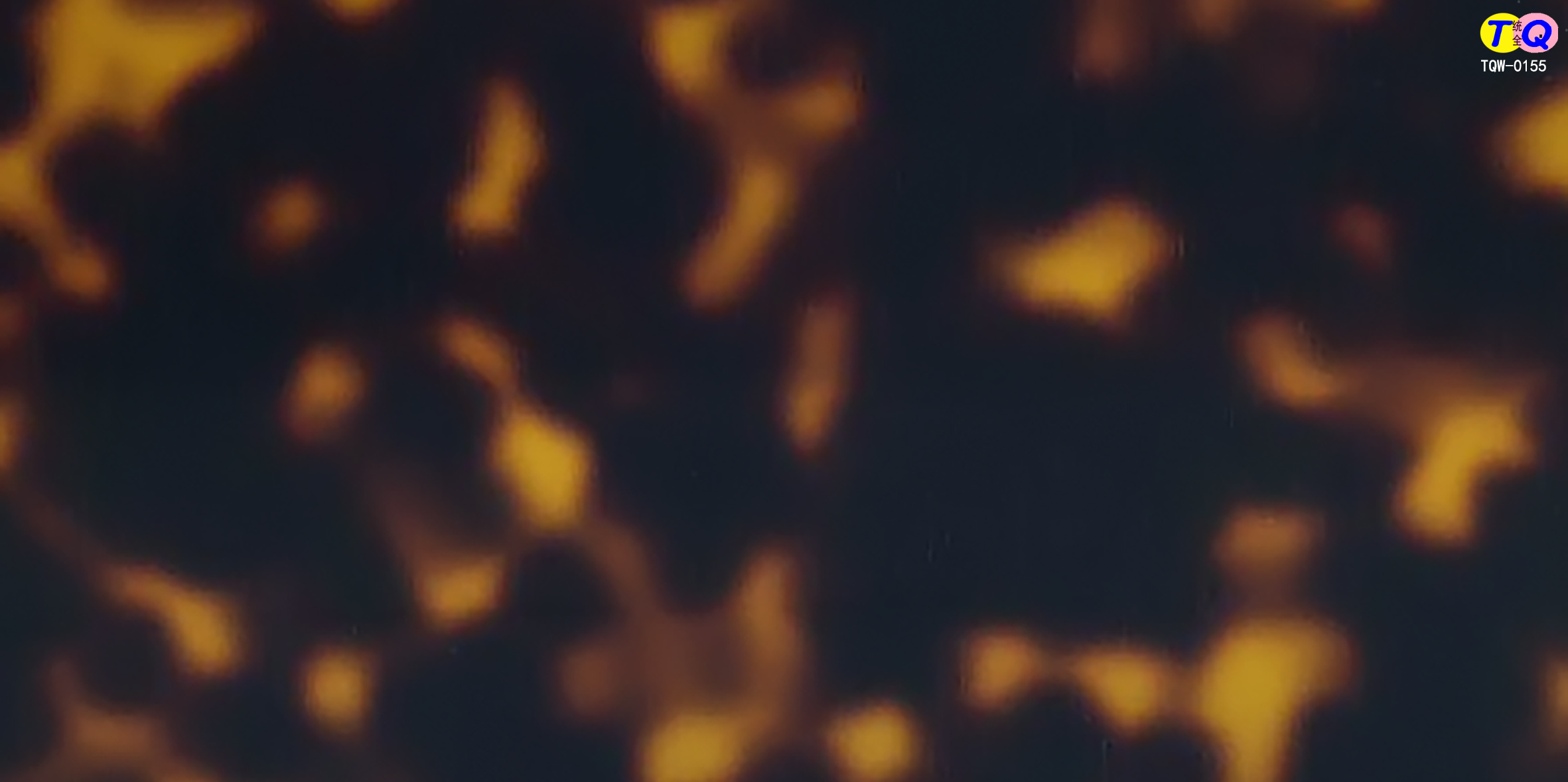 TQW-0155