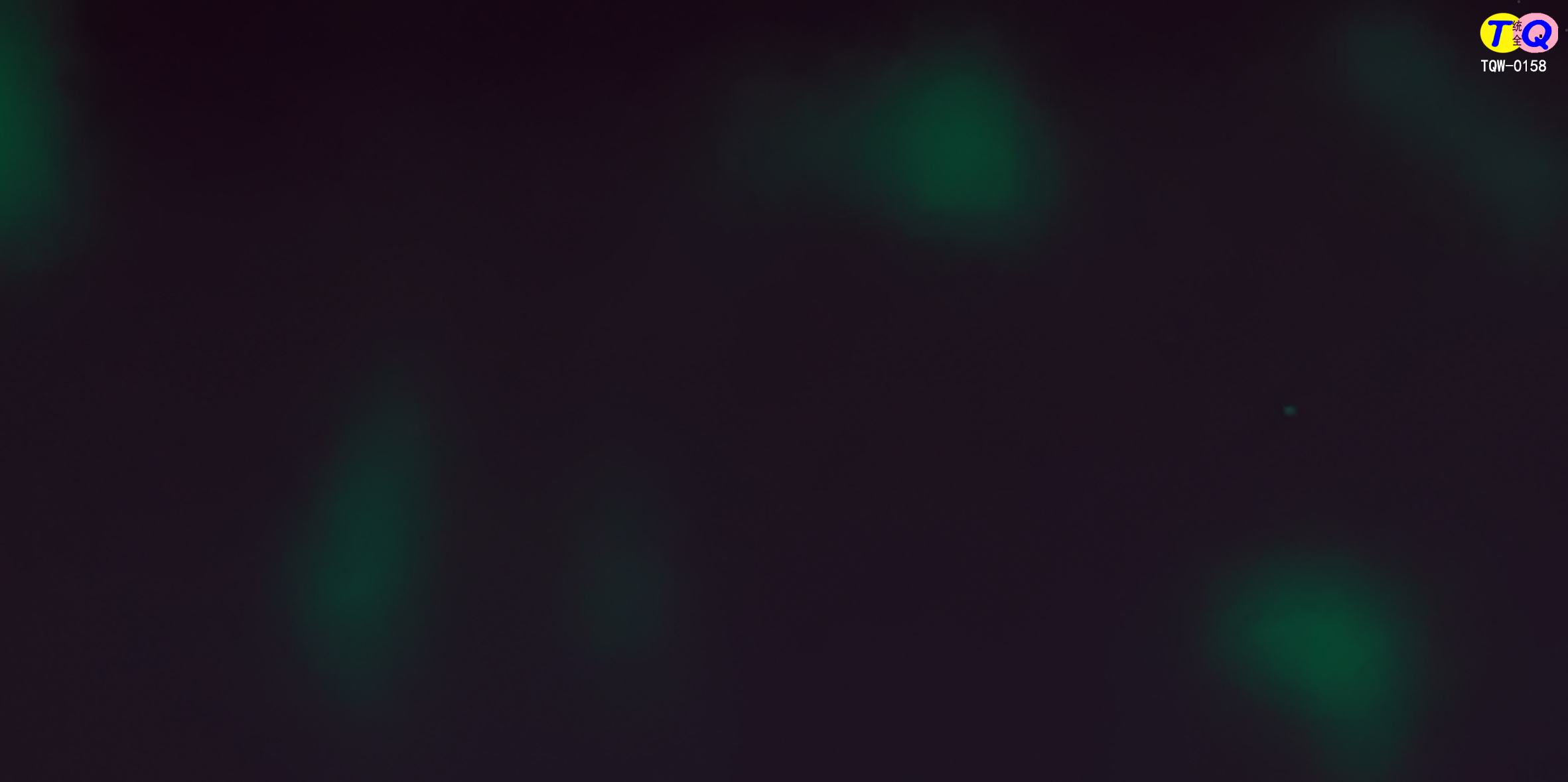 TQW-0158