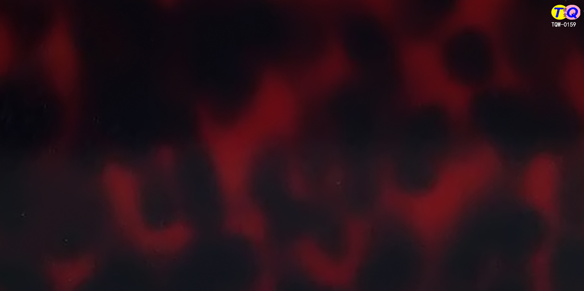 TQW-0159