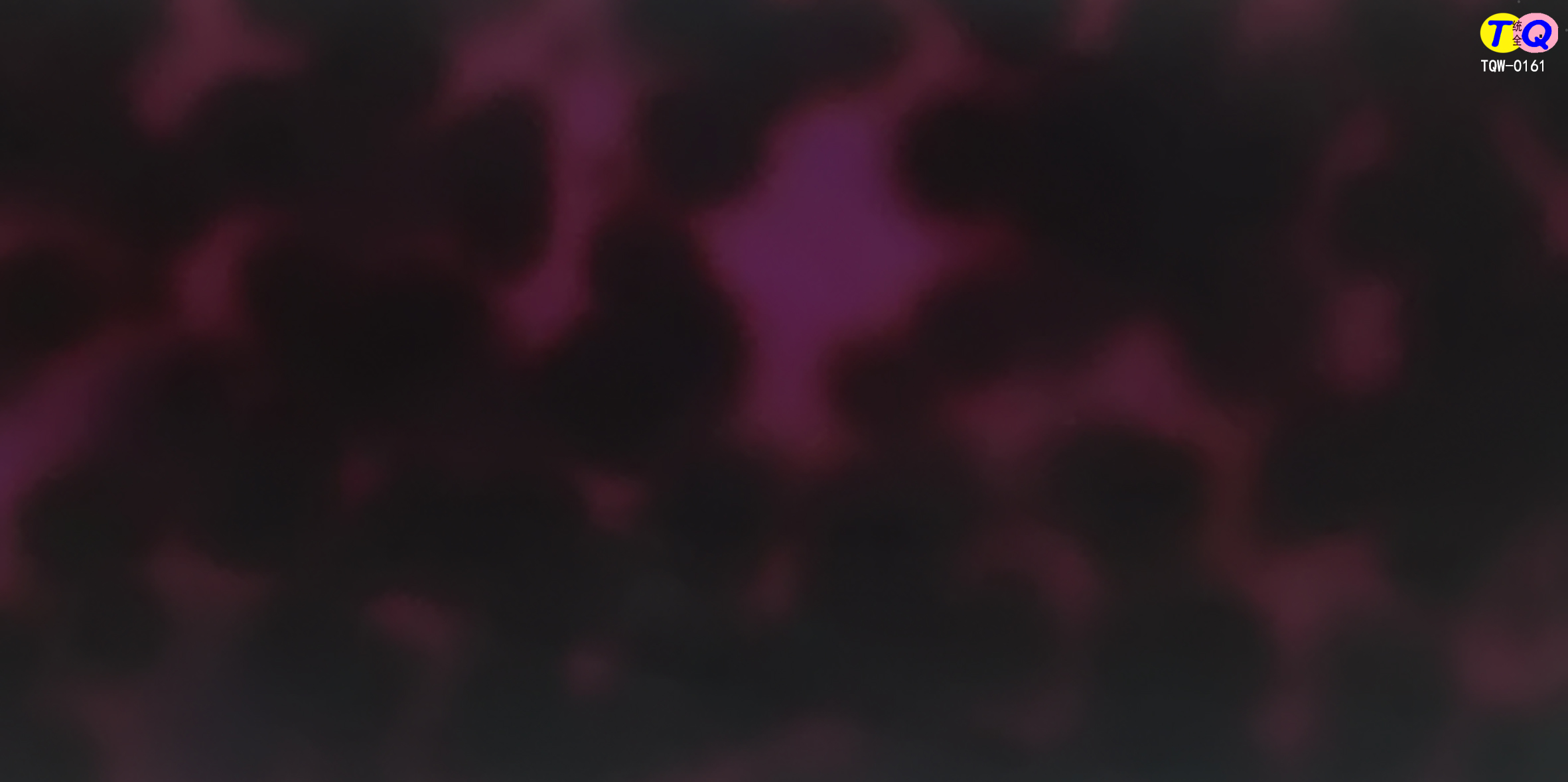 TQW-0161