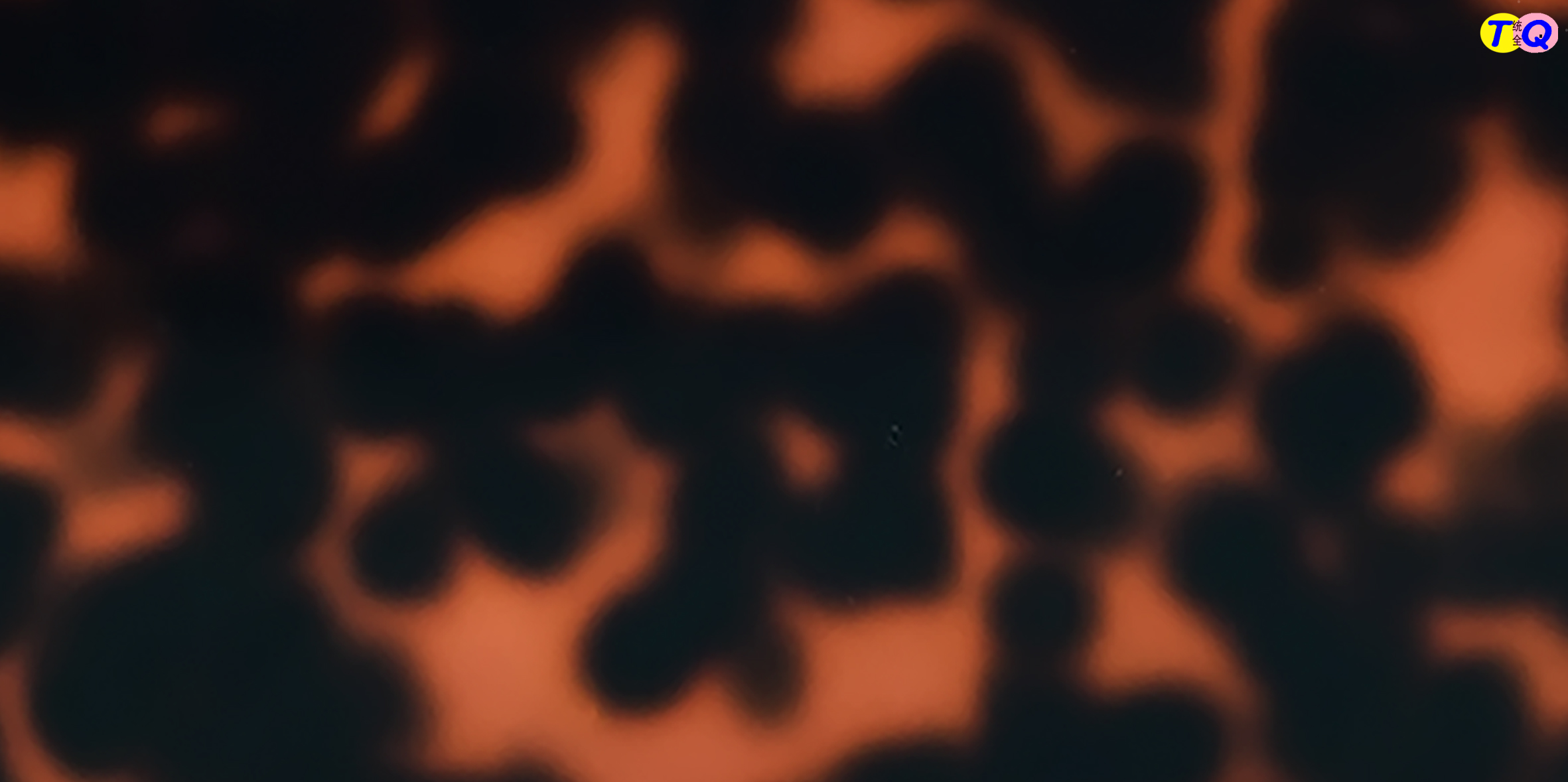 TQW-0162