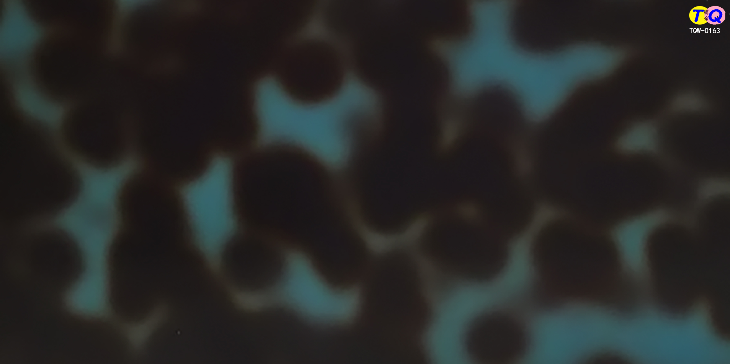 TQW-0163