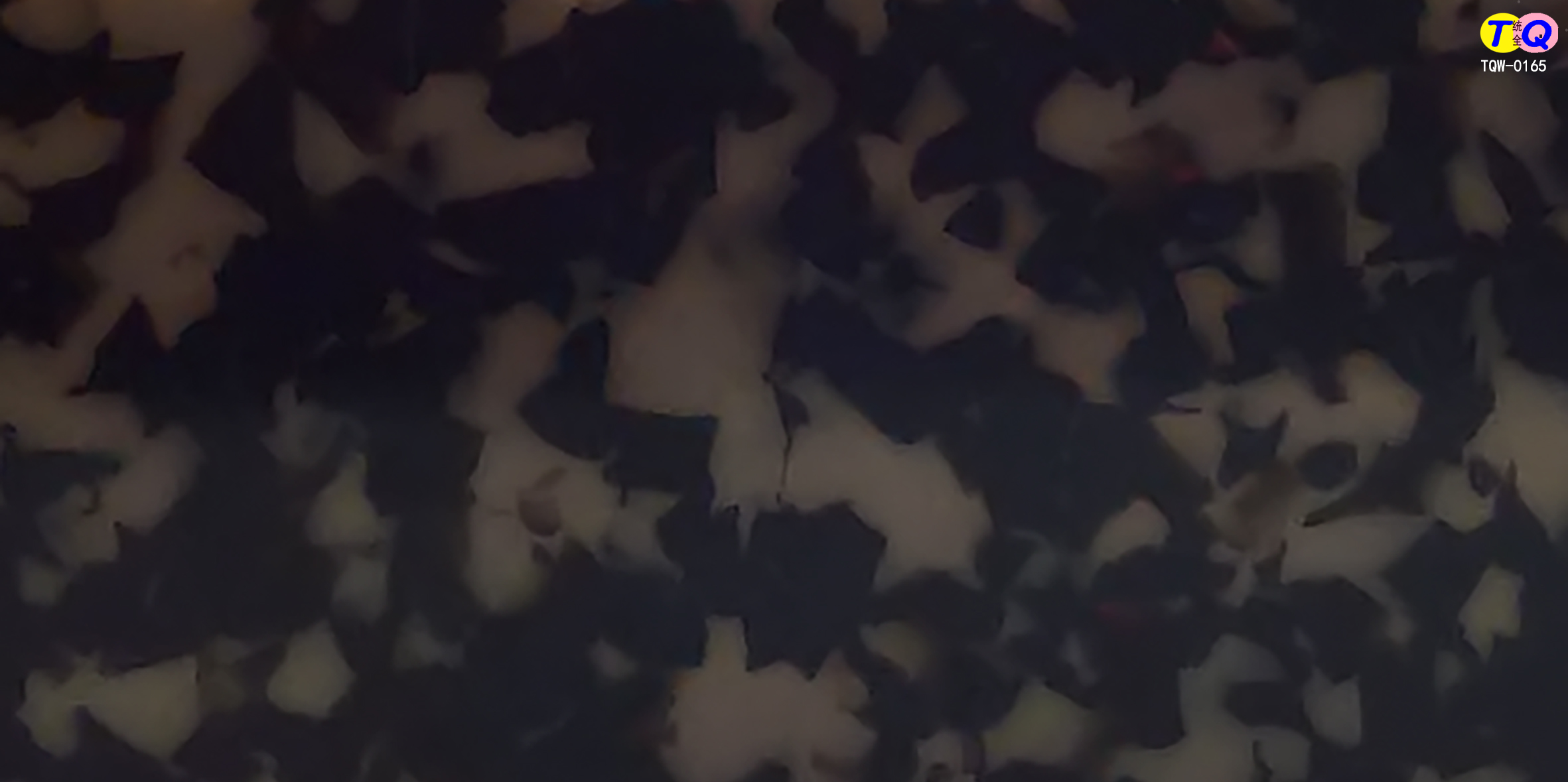 TQW-0165