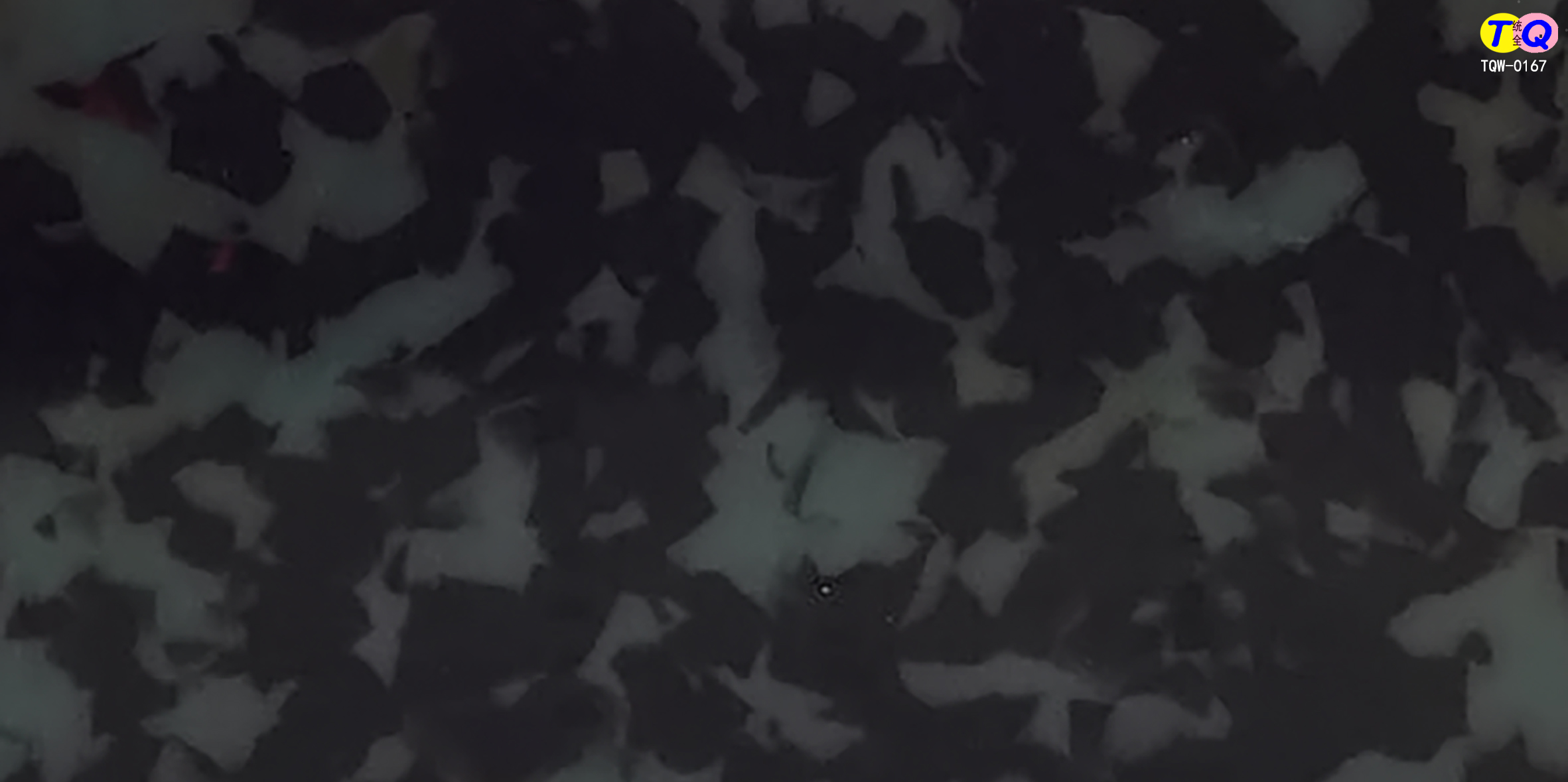TQW-0167