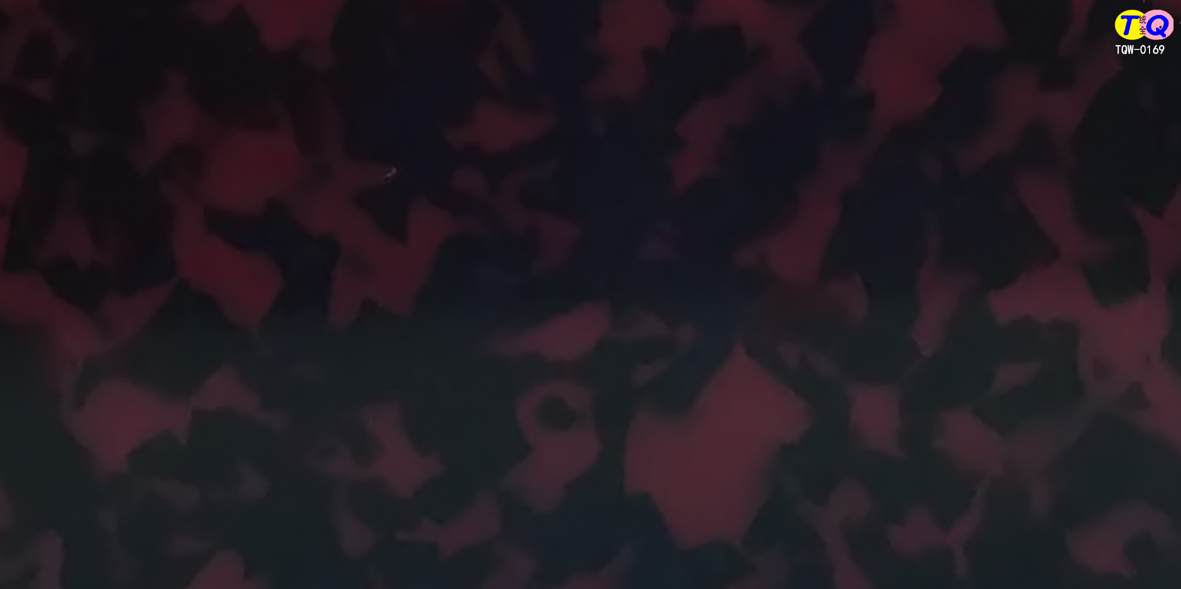 TQW-0169