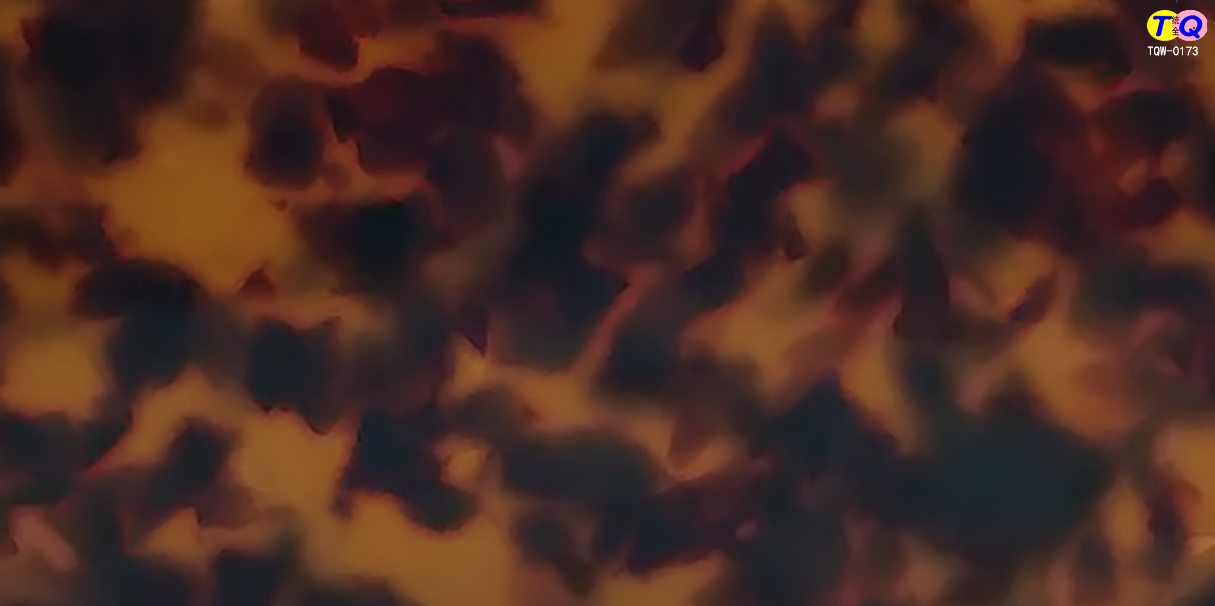 TQW-0173