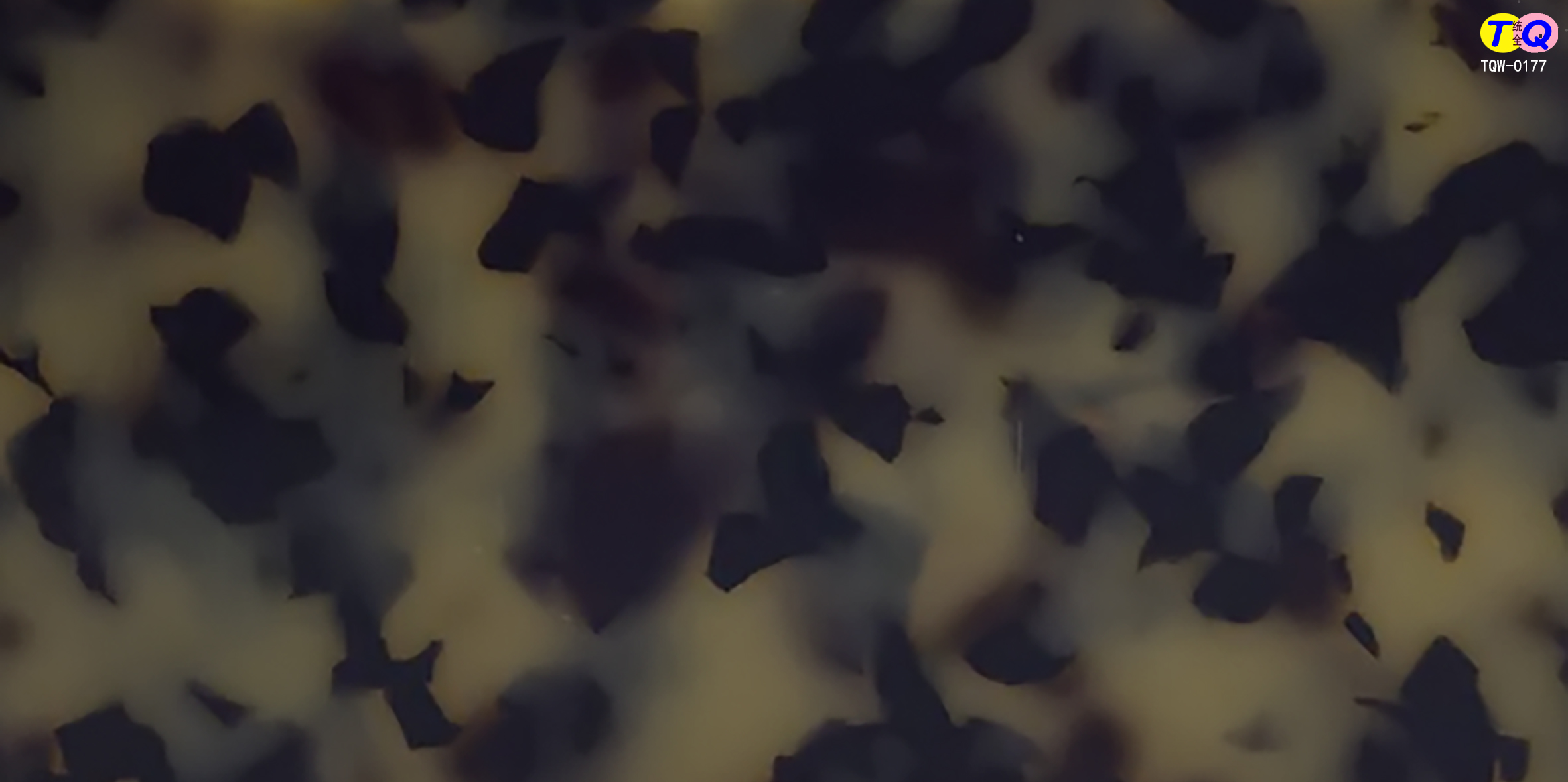 TQW-0177