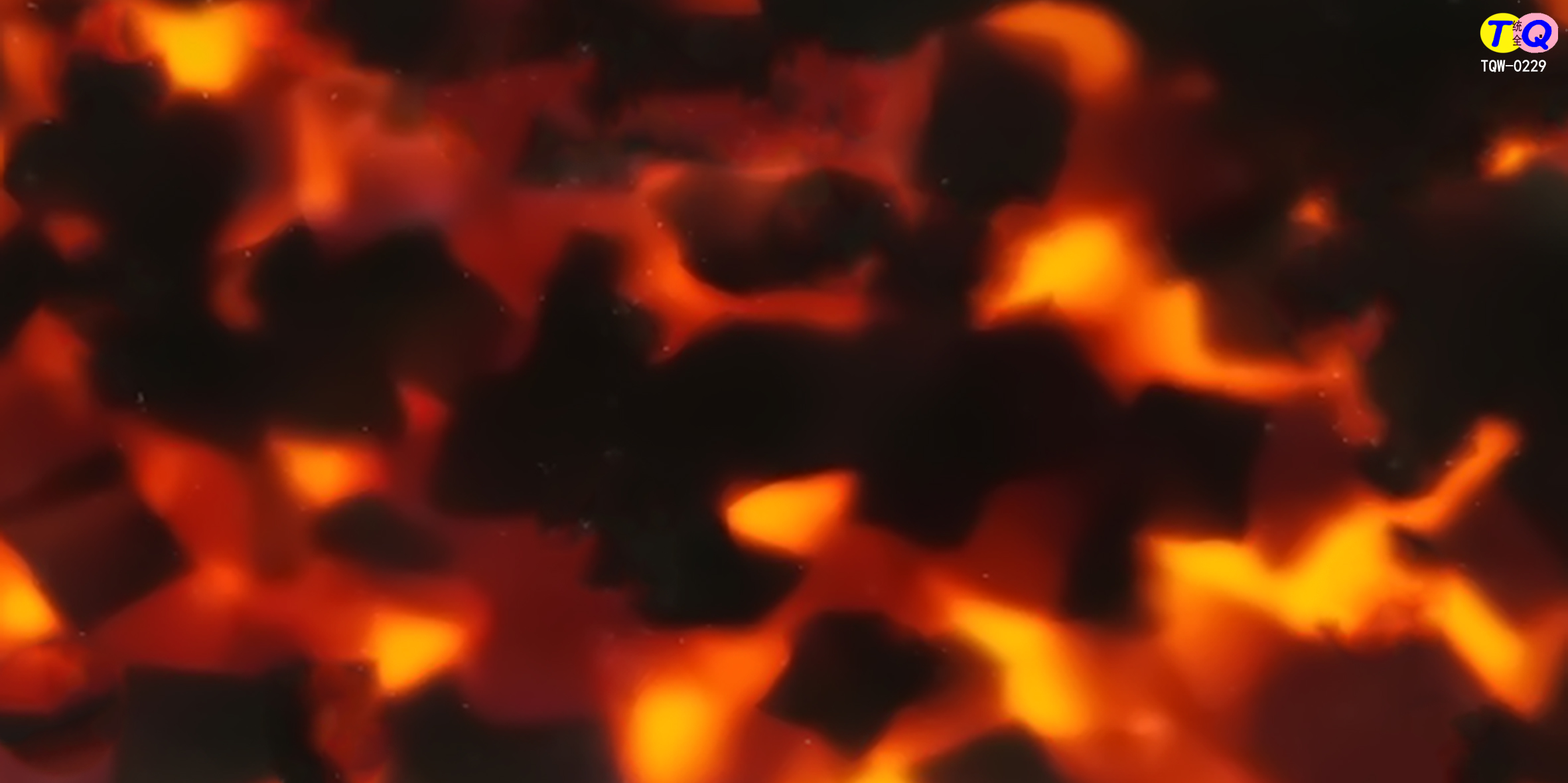 TQW-0229