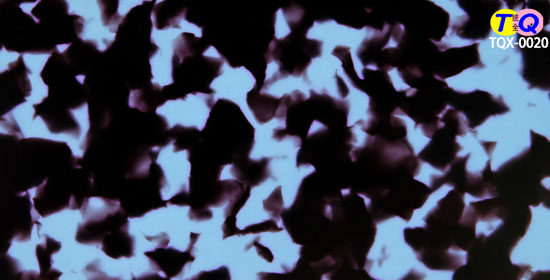 TQX-0020