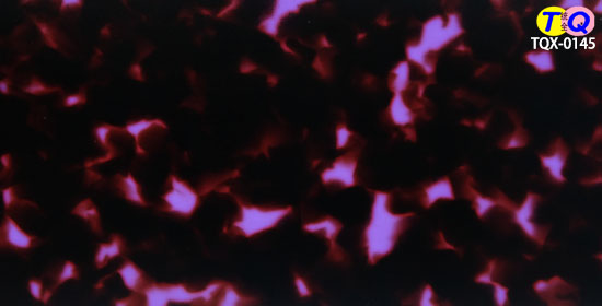 TQX-0145